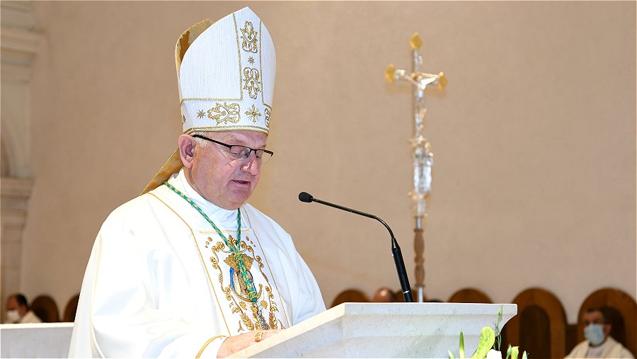 227699538 1443709469325494 7435420297231189881 n-opt